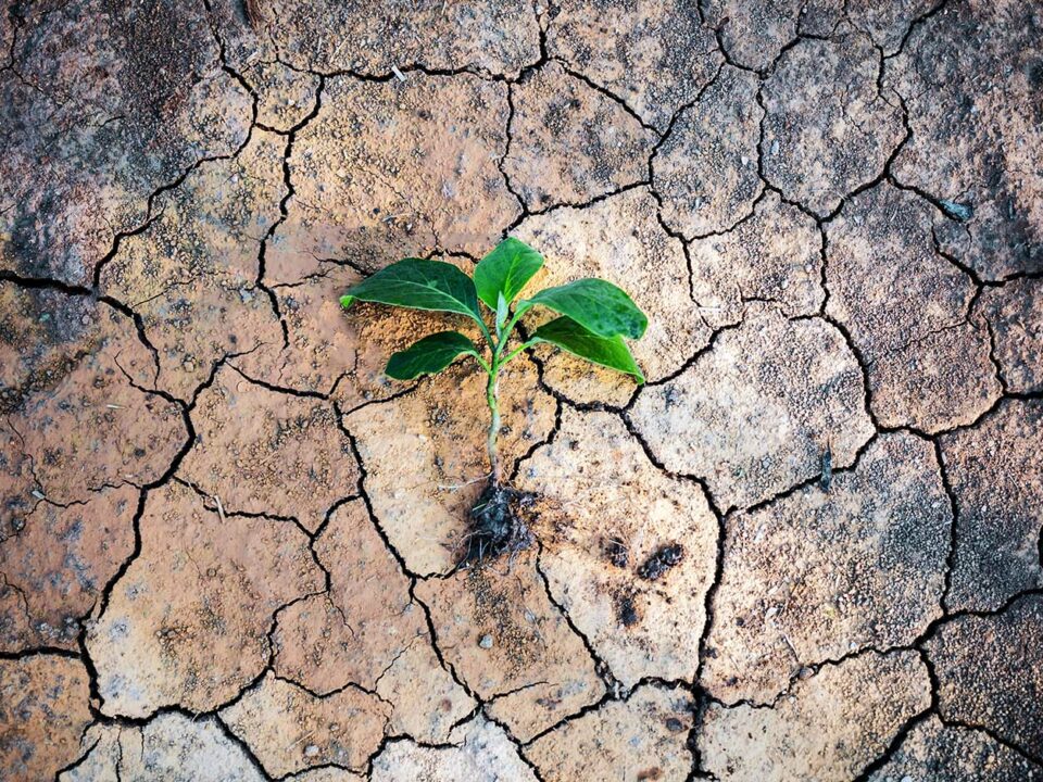 Klimakrise-Wasserkrise