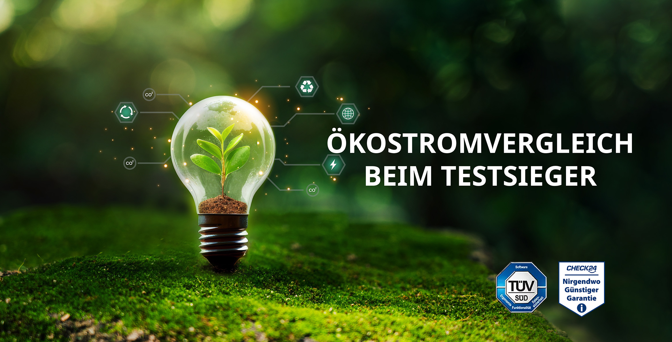 Günstigen Ökostrom jetzt vergleichen – CHECK24